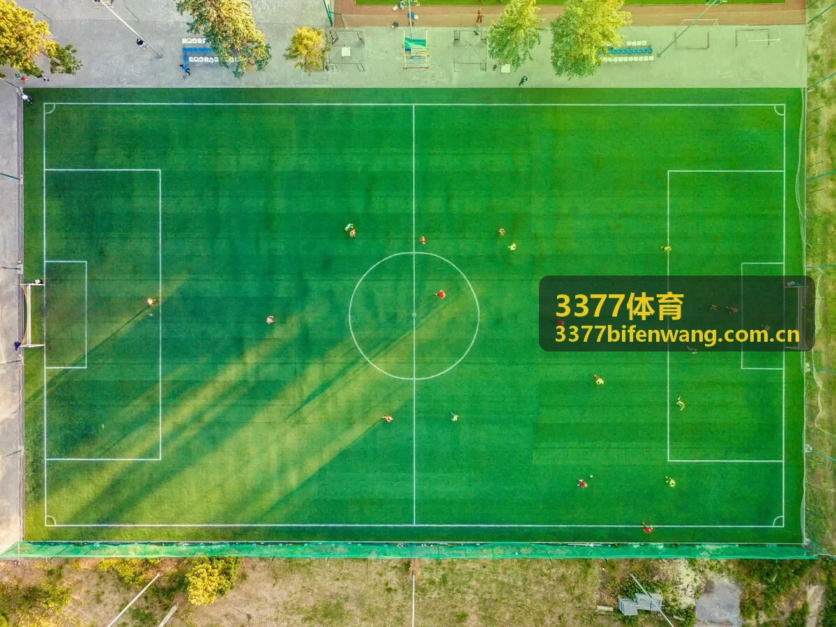 3377体育英超焦点战深度分析